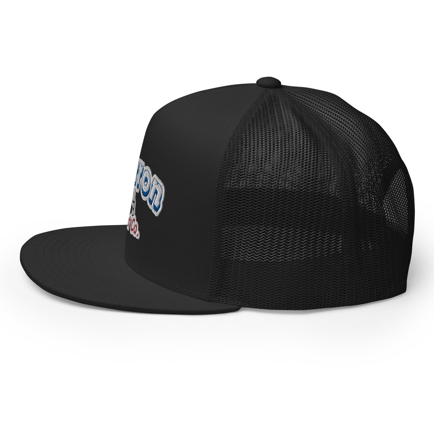 Cartoon Retro Flat Bill Snap Back