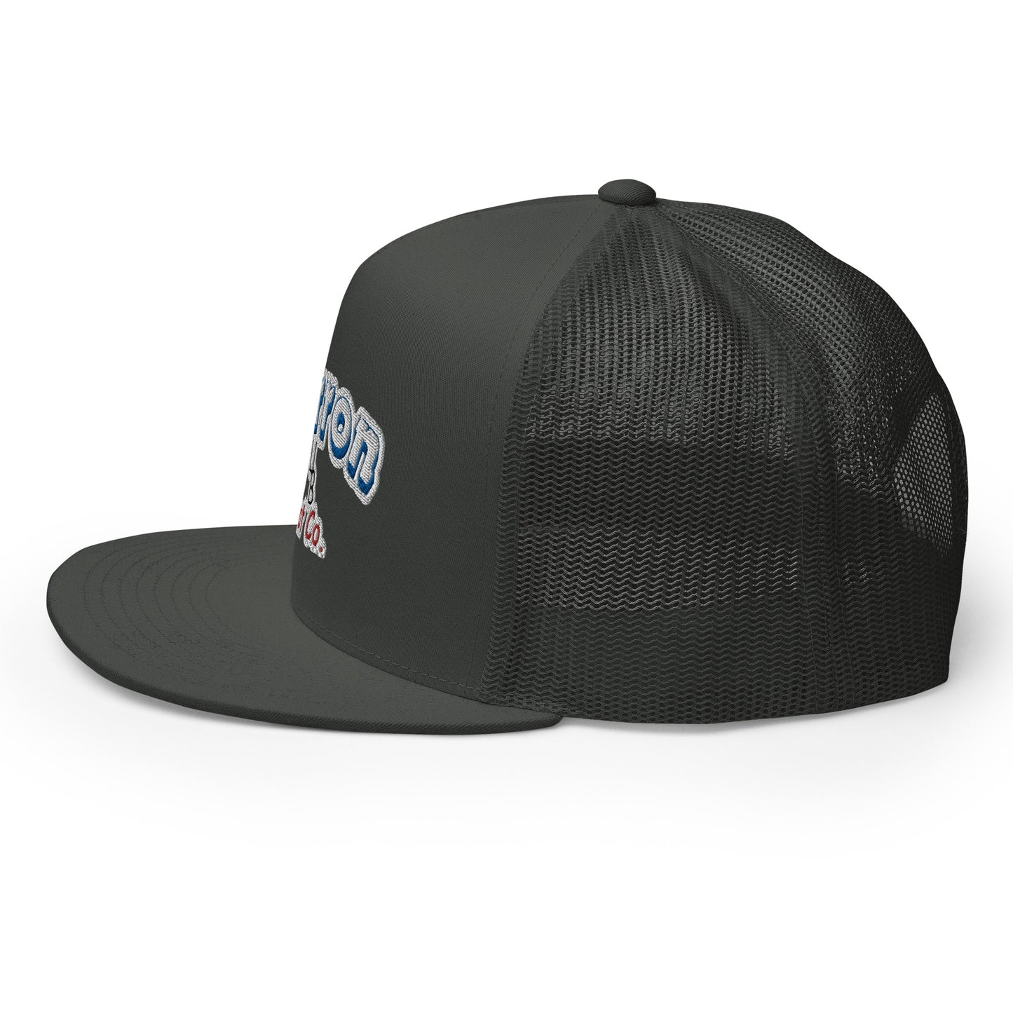 Cartoon Retro Flat Bill Snap Back