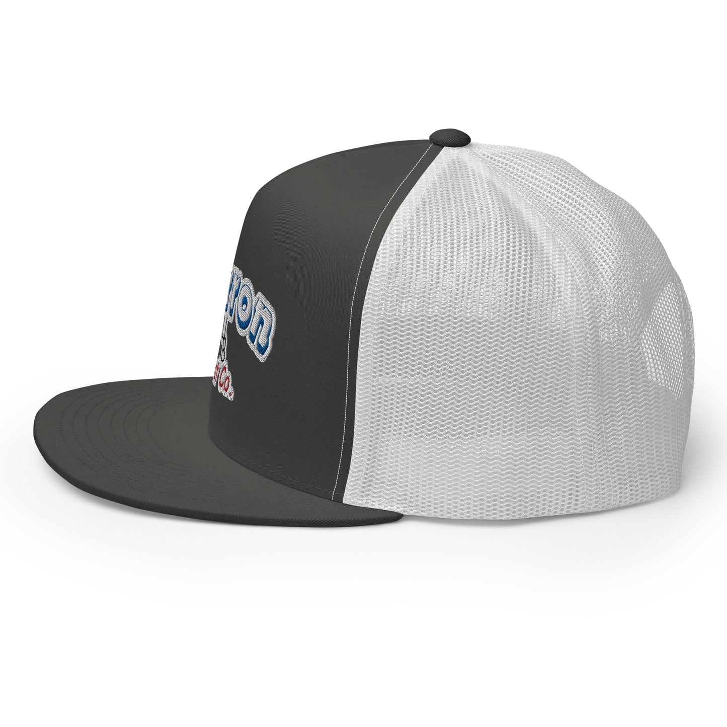 Cartoon Retro Flat Bill Snap Back