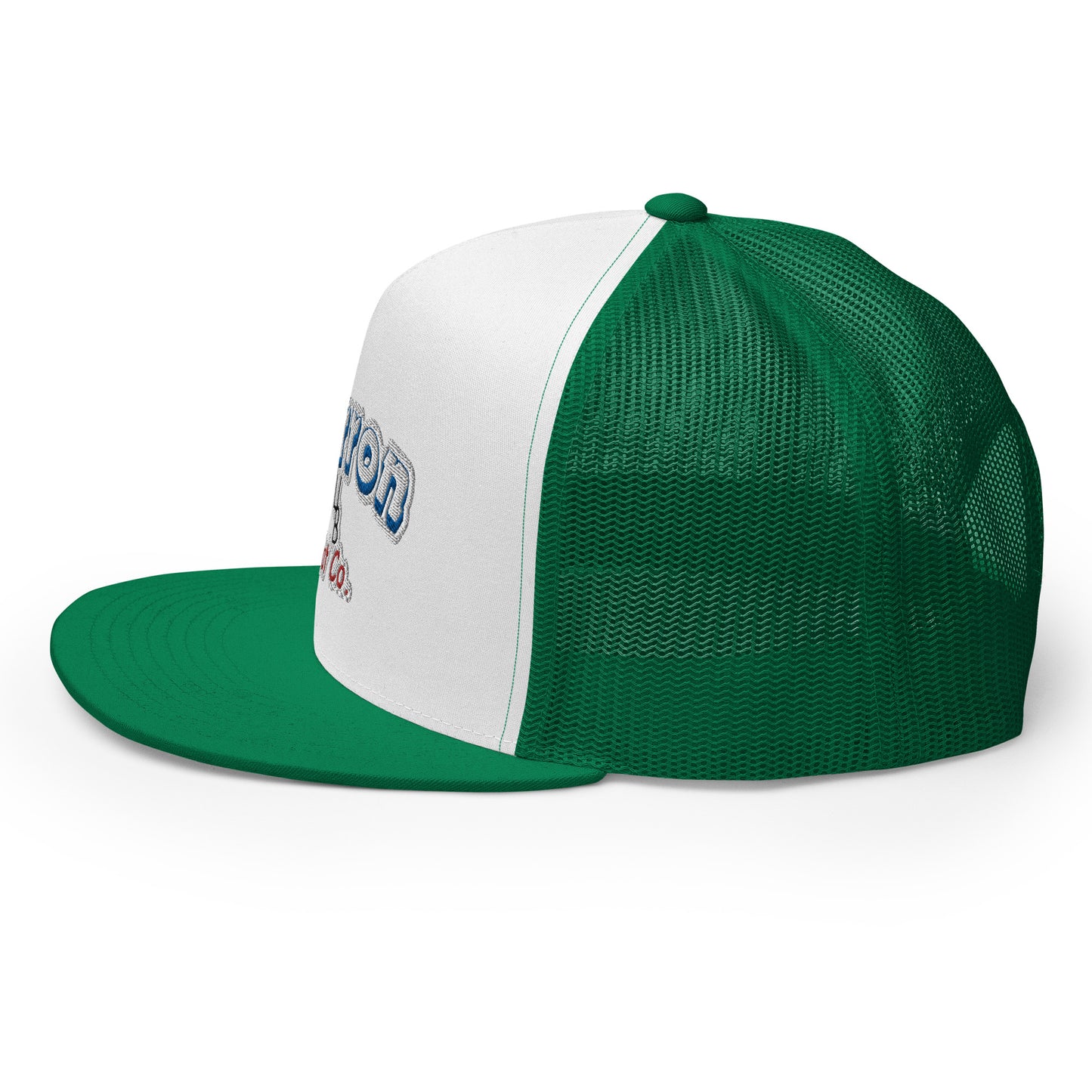 Cartoon Retro Flat Bill Snap Back