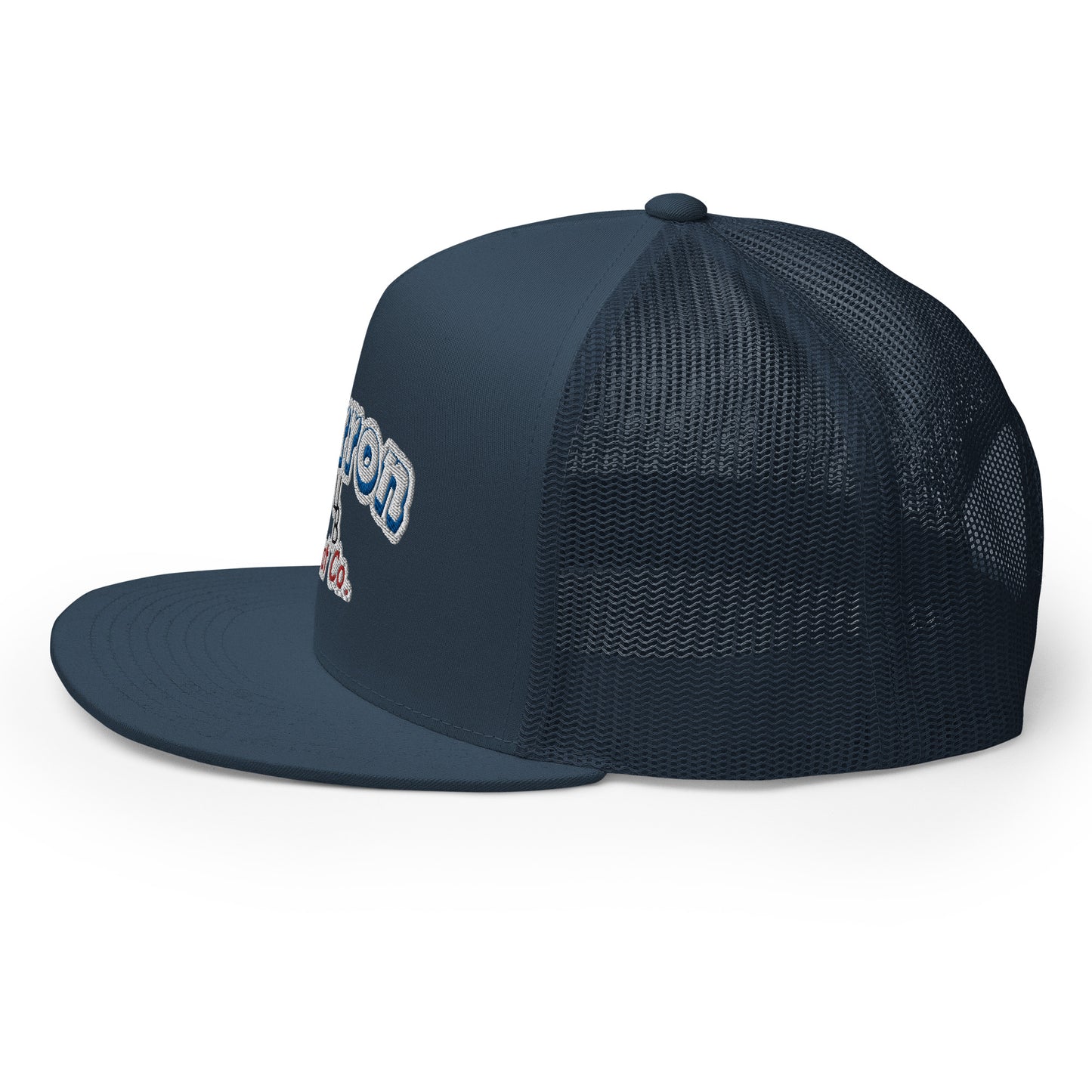 Cartoon Retro Flat Bill Snap Back