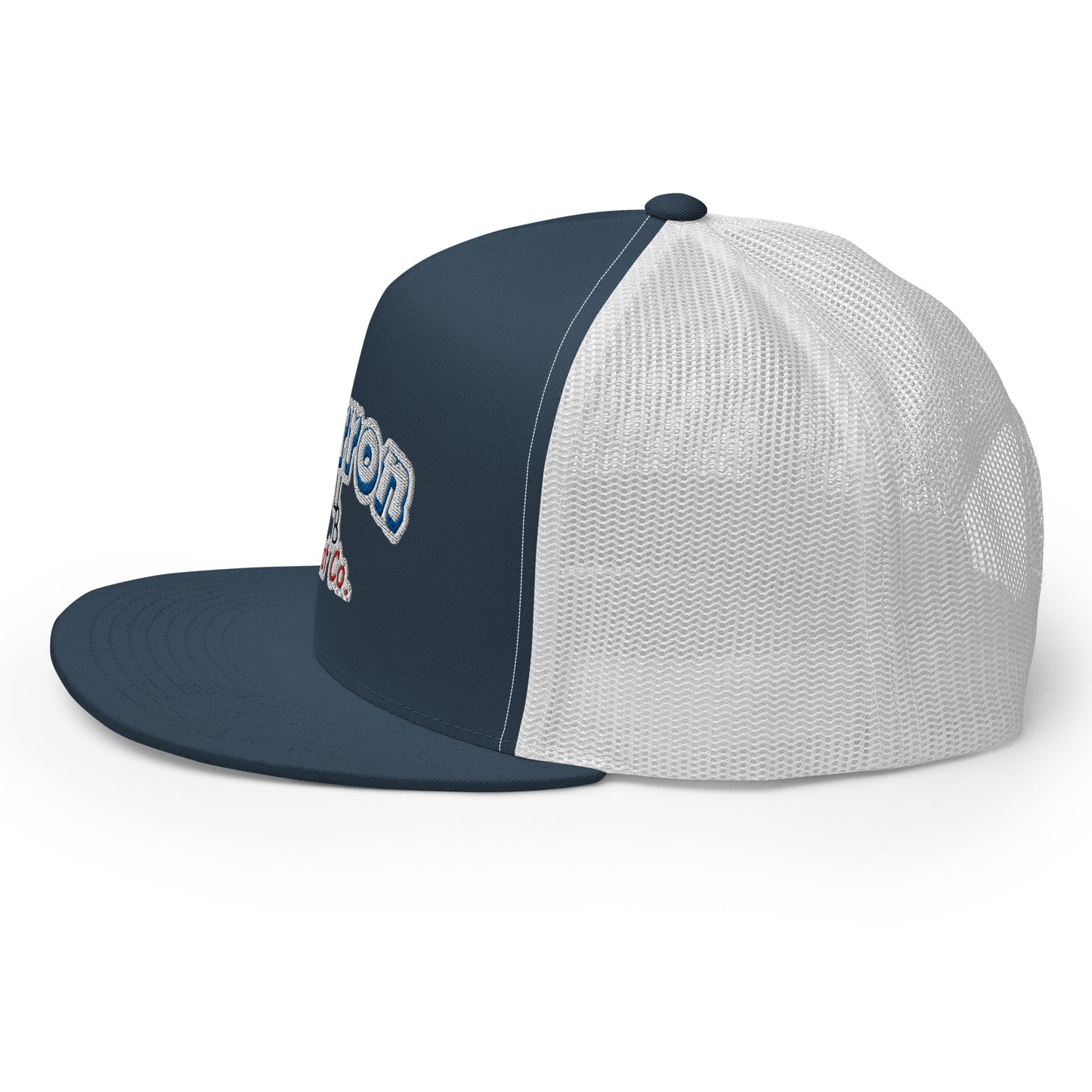 Cartoon Retro Flat Bill Snap Back