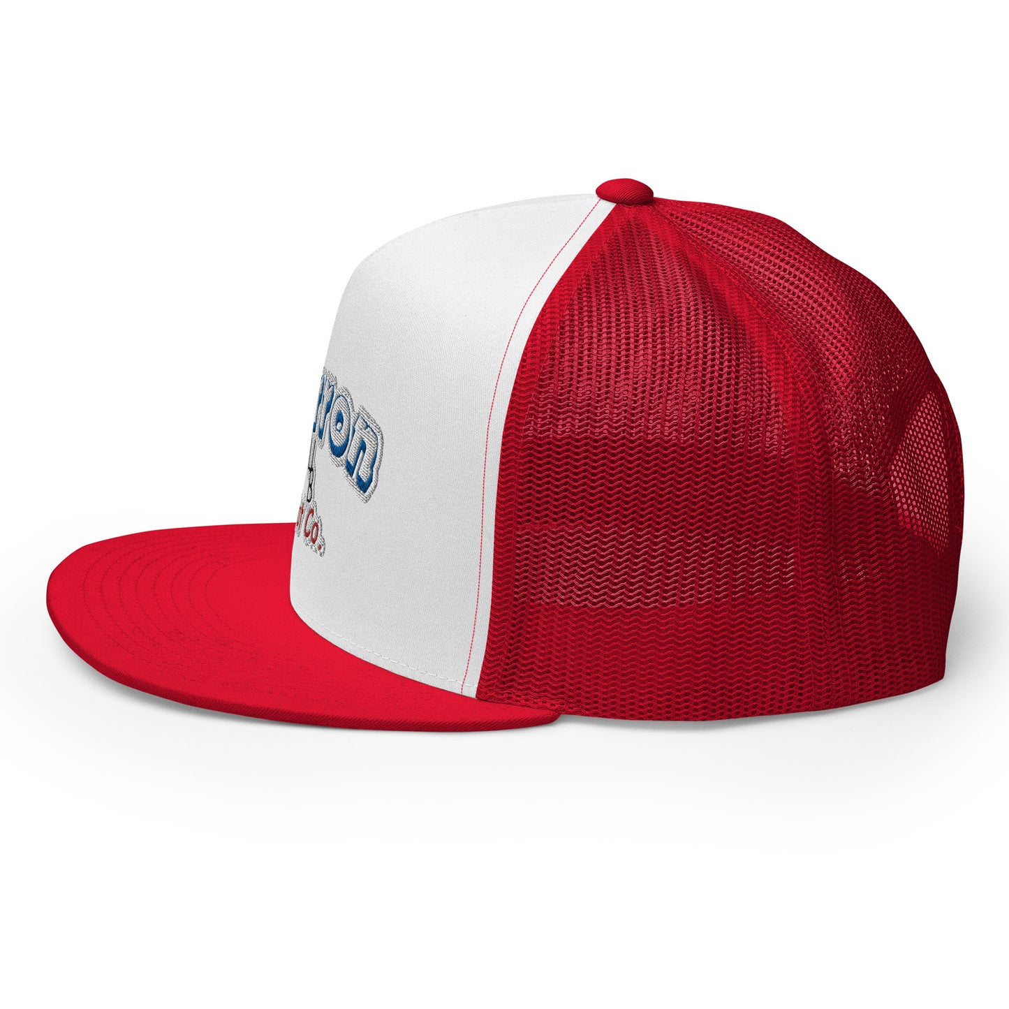 Cartoon Retro Flat Bill Snap Back