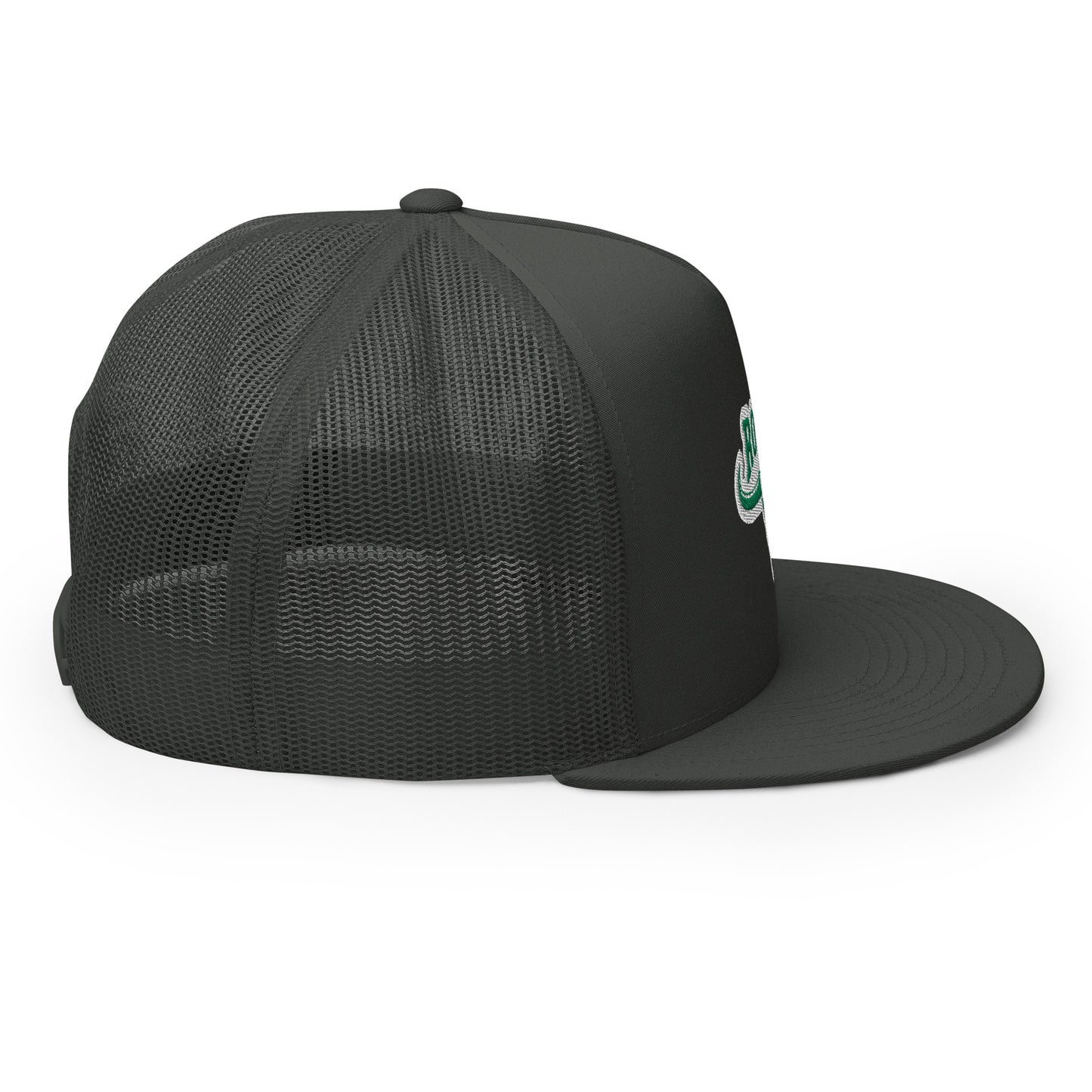 Rodeo Flat Bill Snap Back