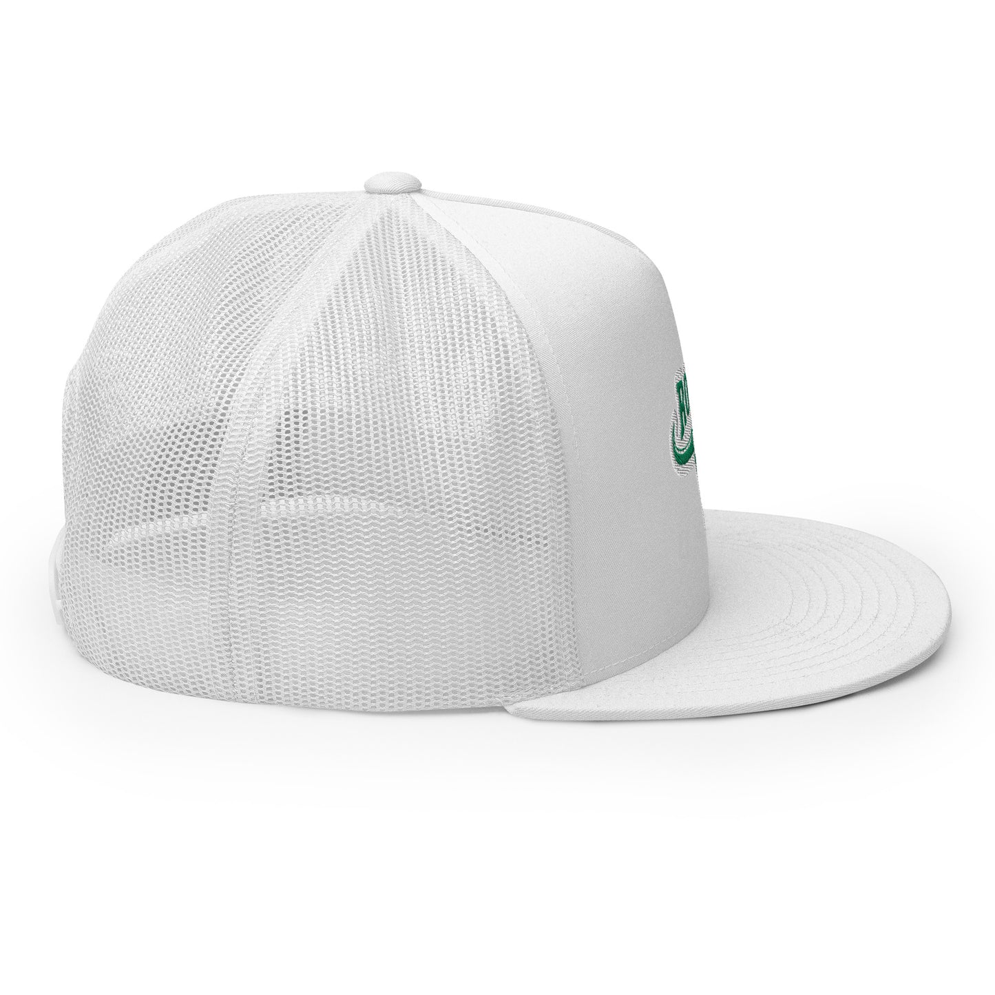 Rodeo Flat Bill Snap Back